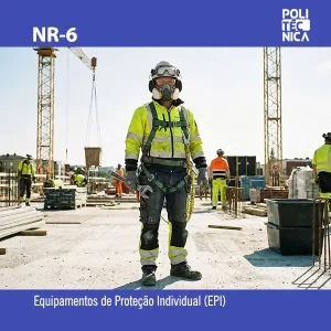 NR-6